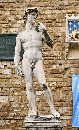 statue of David, Piazza della Signoria