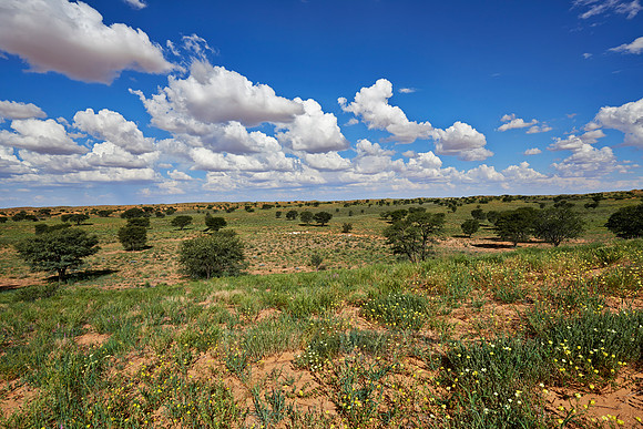 landscape around Rooiputs Lodge