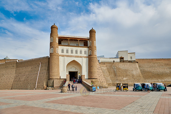 Gate and rampart