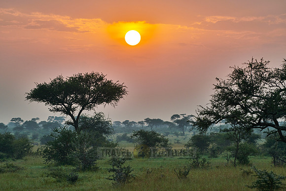 landscape with sunrise in Serengeti
