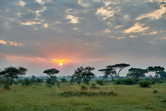 landscape with sunrise in Serengeti