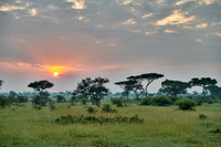 landscape with sunrise in Serengeti