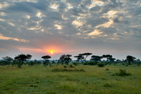 landscape with sunrise in Serengeti