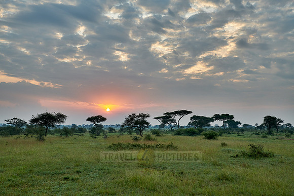 landscape with sunrise in Serengeti