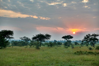 landscape with sunrise in Serengeti