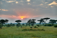 landscape with sunrise in Serengeti
