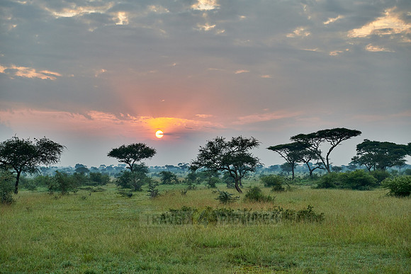 landscape with sunrise in Serengeti