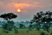 landscape with sunrise in Serengeti