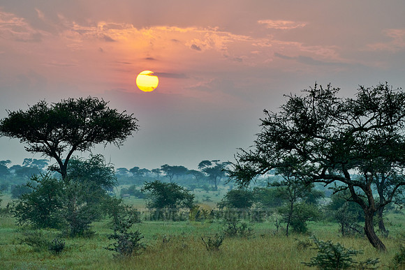 landscape with sunrise in Serengeti