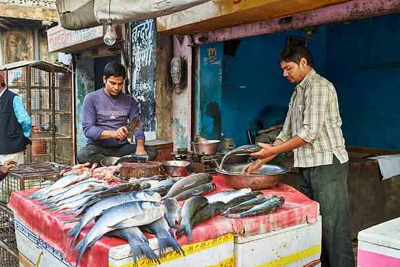 colorful streetlife with market stalls in Jaipur