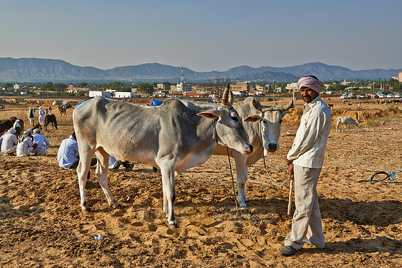 Puskar Mela