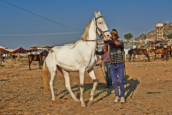 Puskar Mela