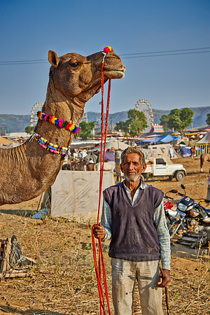 nomadic tribe man in between his camels