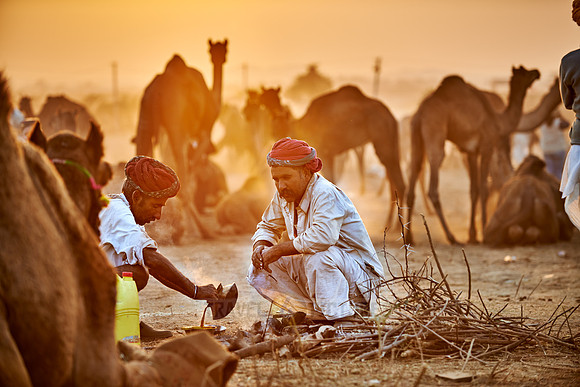 nomadic tribe men with traditional turbans, camel and livestock fair
