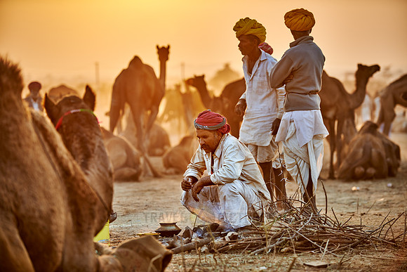 nomadic tribe men with traditional turbans, camel and livestock fair