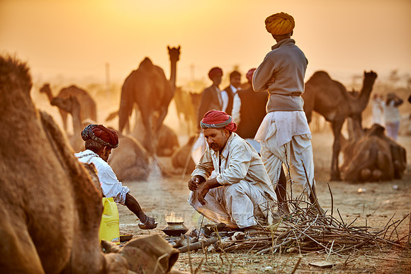 nomadic tribe men with traditional turbans, camel and livestock fair