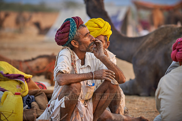 nomadic tribe men with traditional turbans, camel and livestock fair
