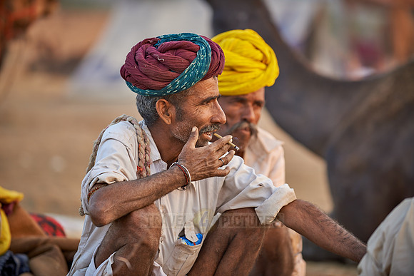 nomadic tribe men with traditional turbans, camel and livestock fair