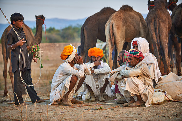 nomadic tribe men with traditional turbans haggle for prices