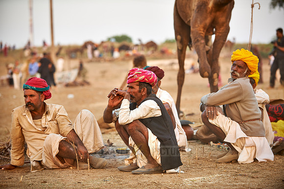 nomadic tribe men with traditional turbans, camel and livestock fair