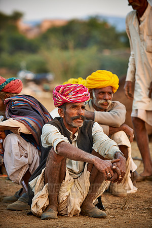 nomadic tribe men with traditional turbans, camel and livestock fair