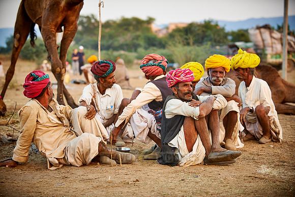 nomadic tribe men with traditional turbans, camel and livestock fair