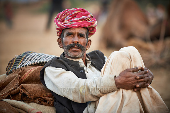 nomadic tribe men with traditional turbans, camel and livestock fair