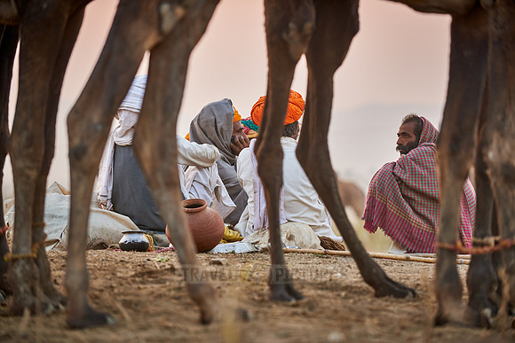 nomadic tribe men with traditional turbans haggle for prices