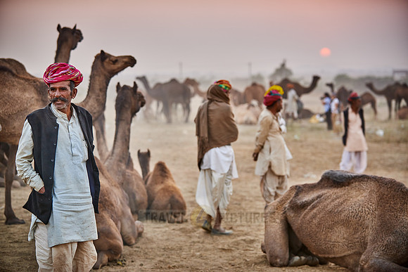nomadic tribe men with traditional turbans, camel and livestock fair