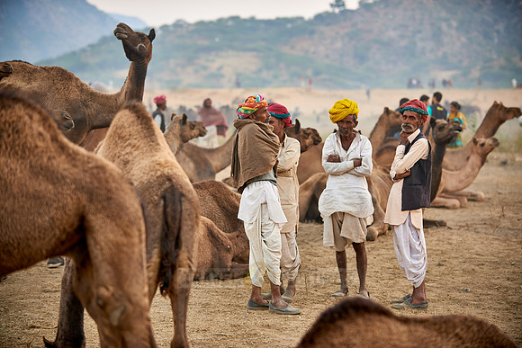 nomadic tribe men with traditional turbans haggle for prices