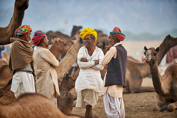 nomadic tribe men with traditional turbans haggle for prices