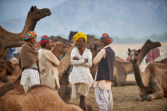 nomadic tribe men with traditional turbans haggle for prices