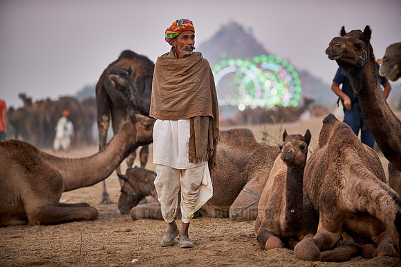 nomadic tribe men with traditional turbans, camel and livestock fair