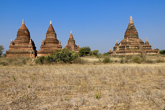 pagodas in the plain