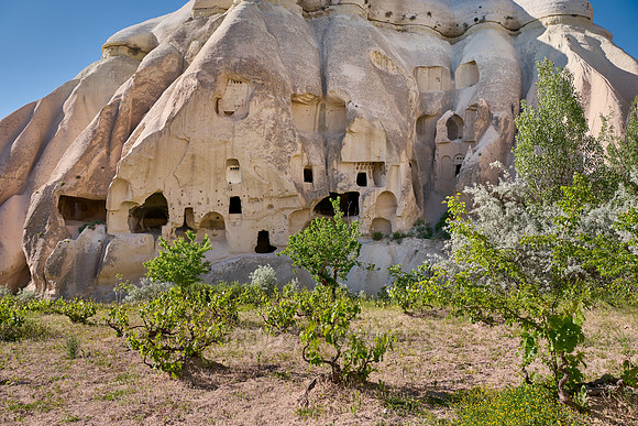 cave dwellings in landscape of Rose Valley Goreme
