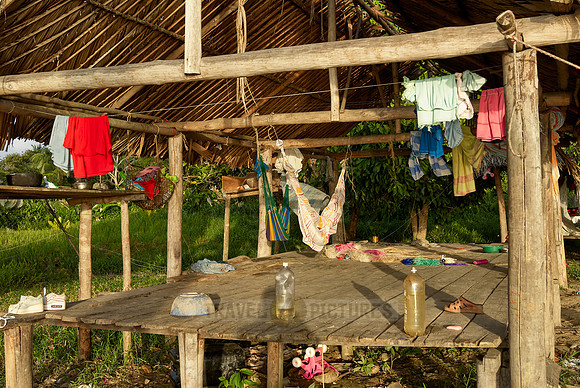 wooden house on stilts of Warao indians