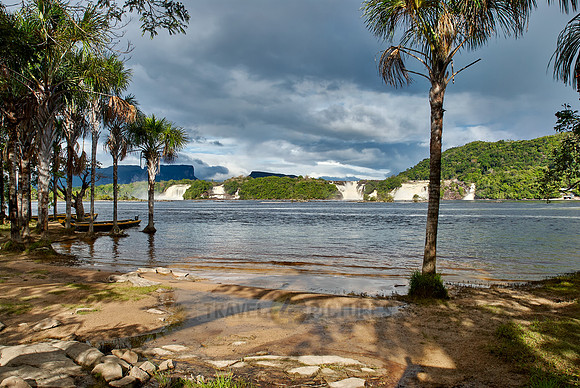 waterfalls and palms