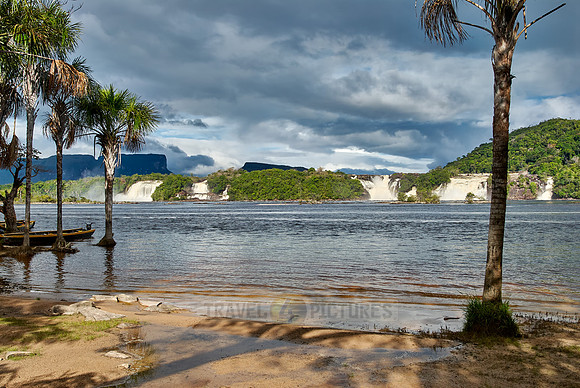 waterfalls and palms
