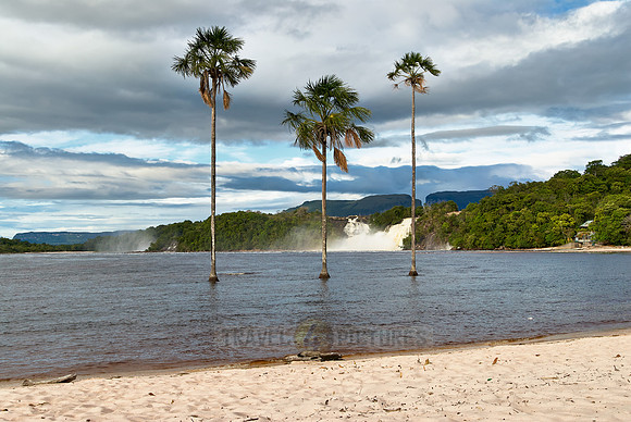 Salto Golondrina with palms
