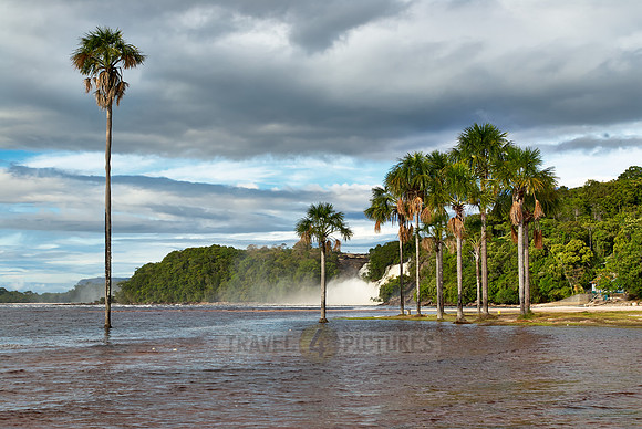 Salto Golondrina with palms