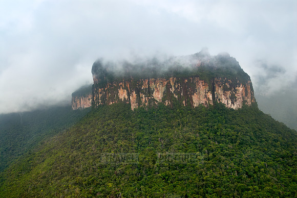 Tepuy and rainforest in fog