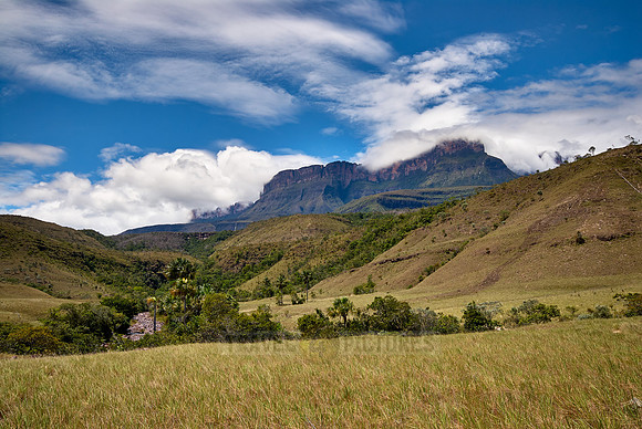 tepui near Kavak