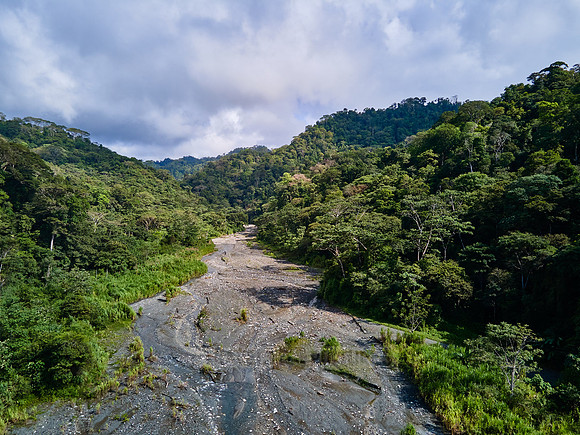 Aerial view of a river in rainforest of Corcovado