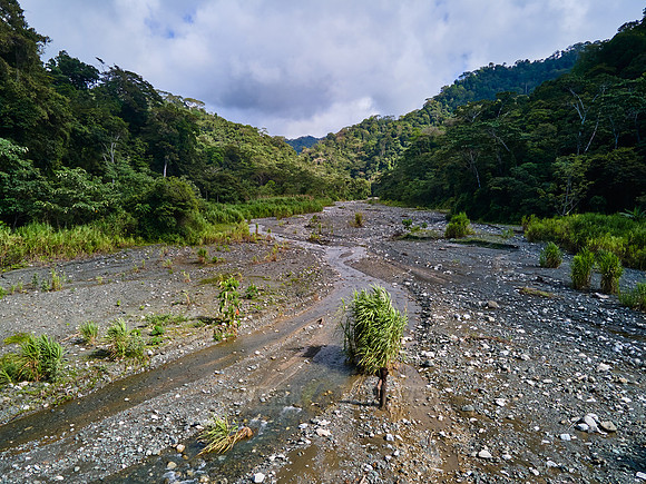 Aerial view of a river in rainforest of Corcovado