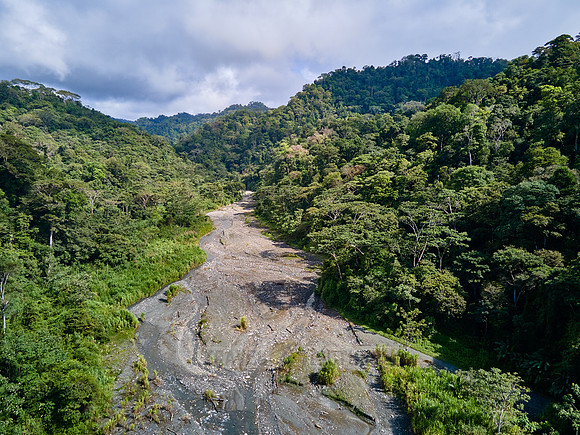 Aerial view of a river in rainforest of Corcovado
