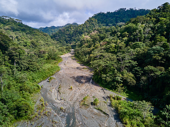 Aerial view of a river in rainforest of Corcovado