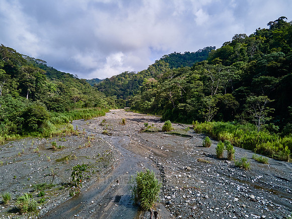 Aerial view of a river in rainforest of Corcovado