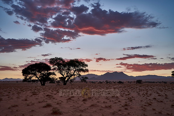 deserted landscape of NamibRand Nature Reserve