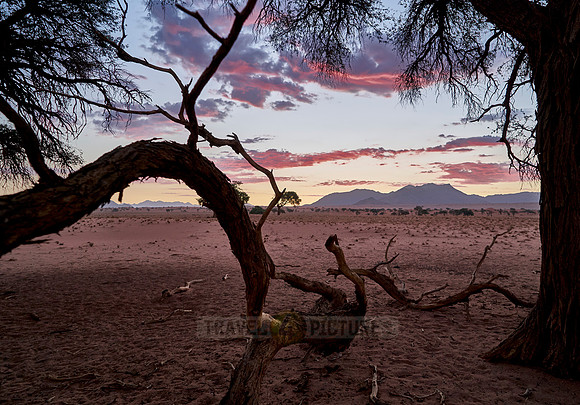 deserted landscape of NamibRand Nature Reserve