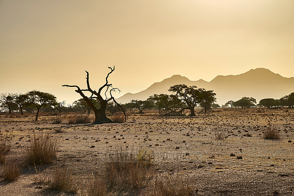 desert landscape on the farm Namtib